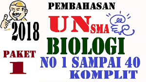 Semoga bermanfaat buat menghadapi ujian nasional. Pembahasan Unbk Biologi Sma 2018 Un Paket 1 No 1 40 Komplit Youtube