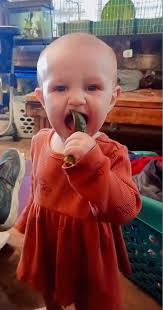 Passing down pickle addiction to children