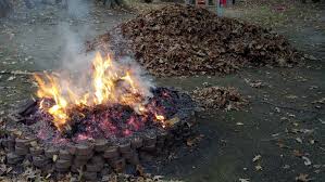 We did not find results for: Backyard Burning Kingborough Council