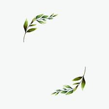 Hand Drawn Olive Branch Frame Watercolor Style Vector Free Image By Rawpixel Com Aum Suluboya Cicekler Dugun Karti Bitki