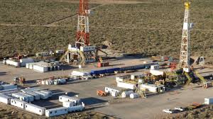 Melihat bisnis ternak ular yang beromset hingga ratusan. Suero Argentino La Hora De La Verdad Prensa Economica