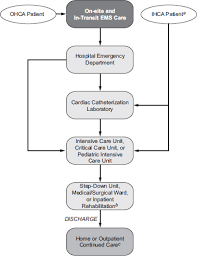 Return of spontaneous circulation (rosc). 5 In Hospital Cardiac Arrest And Post Arrest Care Strategies To Improve Cardiac Arrest Survival A Time To Act The National Academies Press