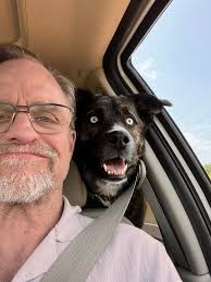 Has anyone seen my girl she's friendly not mean at all she's missing if  anyone see her please let me know thanks