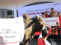 Check spelling or type a new query. Telkomsel Serahkan 41 000 Paket Hewan Kurban Telkomsel