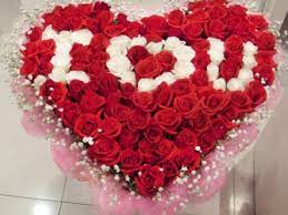 Anda ingin mencari dan pesan bunga ulang tahun untuk pacar anda yang akan membuatnya bahagia dan menunjukkan agar dia tahu betapa anda peduli padanya. Inilah Keistimewaan Bunga Mawar Merah Untuk Pacar Yang Wajib Anda Ketahui