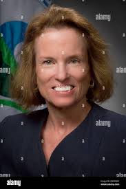 Feldt hi-res stock photography and images