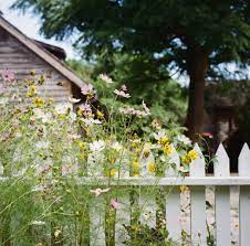 The main concept behind a fence is simply the creation of a barrier between two distinct areas, and this can be the fence bible: 19 Practical And Pretty Garden Fence Ideas Best Materials To Fence A Garden