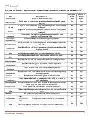 Plant Vs Animal Cell Components Chart Assignment Docx