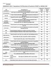 plant vs animal cell components chart assignment docx