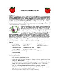 The dna found in strawberry cells can be extracted using common, everyday materials. Strawberry Dna Extraction Lab