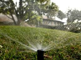 Determine how long it takes your water sprinkler to distribute 1 inch of water by placing several shallow containers in your lawn while running the sprinkler for 30 minutes. How Much Should You Water Your Lawn Texas A M Website Takes Out The Guesswork