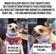 Veterinary Memes For The Big Hearted People Who Care For Our Animals Veterinary Memes Animals Cute Animals
