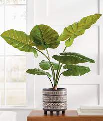 Elephant Ear Plant Grandin Road Elephant Ear Plant Faux Plants Decor Plant Decor