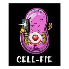 Biology Cell Fie Funny Science Joke Poster Zazzle Com Science Humor Funny Science Jokes Biology Jokes