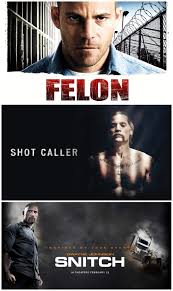 Image result for Felon