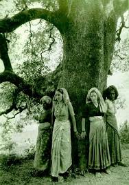 Hindu Tree Huggers The Chipko Movement Academy For Distance Learning