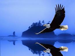 Gambar logo burung rajawali motivational hd wallpapers jual tattoo burung rajawali 19x12 cm kab badung spirit clothing 30 Ide Rajawali Elang Burung Elang Burung Rajawali