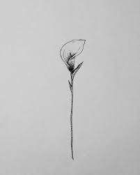 Black And White Realistic Calla Lily Tattoo Rodrigo Wash On Instagram Um Copo De Leite Lily Tattoo Sleeve Calla Lily Tattoos Lily Tattoo