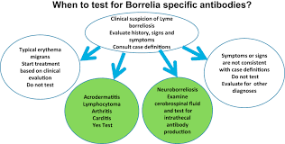 To Test Or Not To Test Laboratory Support For The Diagnosis Of Lyme Borreliosis A Position Paper Of Esgbor The Escmid Study Group For Lyme Borreliosis Clinical Microbiology And Infection