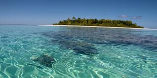Our travel experts will take care of everything. Yachtcharter Und Segeln Vor Tahiti The Moorings