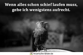 á… Freche Spruche Mit Bild Die Frechsten Spruche Im Uberblick
