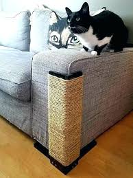 Adorable Best Couch For Cats Best Best Couch For Cats 82 About Remodel Sofas And Couches Set With Best Cou Couch Protector Cat Scratching Post Cat Scratching