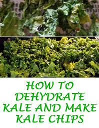Cats can eat other dead cats but it is mainly female cats after they have giving birth and the kittens are dead, but is has been know for other cats to eat the dead kittens, but it is not. How To Dehydrate Kale And Make Kale Chips The Homesteading Hippy