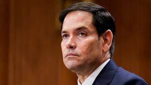 Cecilia Carlotta Stephens