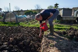 Malgre Le Confinement Potagers Et Jardins Sont Accessibles Le Huffpost