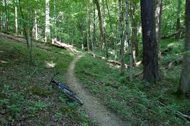 The lavon lake, in northern texas, spans 21,400 acres and stems from the east fork of the trinity river. East Fork State Park East Cincinnati Outdoors Recreation Parks Green Spaces