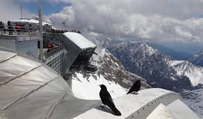 Encyclopedia britannica , 8 jan. The 10 Best Zugspitze Tours Tickets 2021 Garmisch Partenkirchen Viator