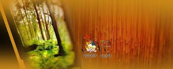 Top 8 Karizma Album Background Psd Files Free Download 12x36 Wedding Album Digital Weddings Wedding Album Design