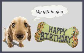 happy birthday greeting for dog lovers happy birthday dachshund dachshund birthday dog lovers