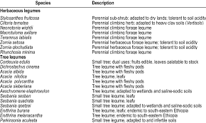 Image result for Rhynchosia goetzei