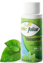 Optic Foliar