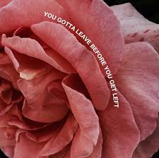 We did not find results for: Lyrics Pink And I Did Something Bad Image 6299582 On Favim Com