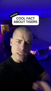Cool fact about tigers #interestingfacts #randomfacts #coolfactz #amaz...