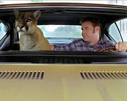 Ricky Bobby Explains To Palin If You Ain T First You Re Last Ricky Bobby Talladega Nights Favorite Movies