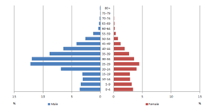 These shapes may take the form of a triangular pyramid, have a columnar or rectangular (with vertical sides rather than sloped sides), or have an irregular profile. Papp101 S03 How Demographers Think About Populations Age And Sex