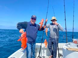 Bigger bulls or females i release and encourage others to do the same as this fish is a slow grower and doesn't. Fish Report Coronado Islands Full Day