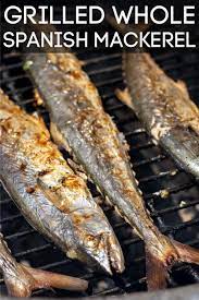 Grilled Whole Spanish Mackerel In Less Than 20 Minutes Recipe Spanish Mackerel Recipe Grilled Whole Mackerel Recipe Mackerel Recipes
