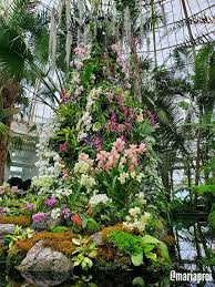 2019 New York Botanical Garden Orchid Show Singapore Nybg New York Flower Orchid Show Flower Show