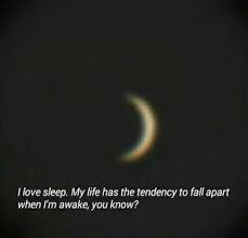 I Can T Take It Anymore Tumblr Google Search I Love Sleep How To Fall Asleep French Quotes