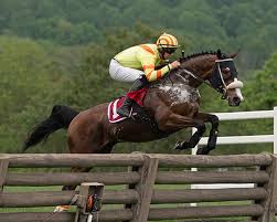 7,782 likes · 470 talking about this · 2,052 were here. Steeplechase Picks Preview Va Fall Genesee Valley