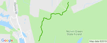 My wife and our 22 year old son and i did a great 4+ mile hike on a hot sunday morning. Wyanokie Crest Trail Norvin Green State Forest