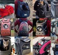 12 Cat Backpacks Reviews – Theoretically Teddy
