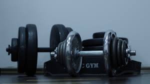 We did not find results for: 376147 Dumbbells Gym Weight Disks 4k Wallpaper Mocah Hd Wallpapers