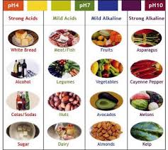 What Is The Utility Of Alkaline Food