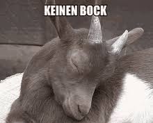 Weitere ideen zu gif lustig tiere, lustig, lustige tiere; Tier Niedlich Gifs Tenor