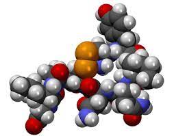 A Role For Oxytocin The Cuddle Hormone In Pain Relief Pain Research News Insights And Ideas